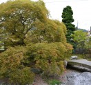 S様邸　庭園造り　　　鹿沼市