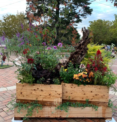 とちぎグリーンフェスタ2019